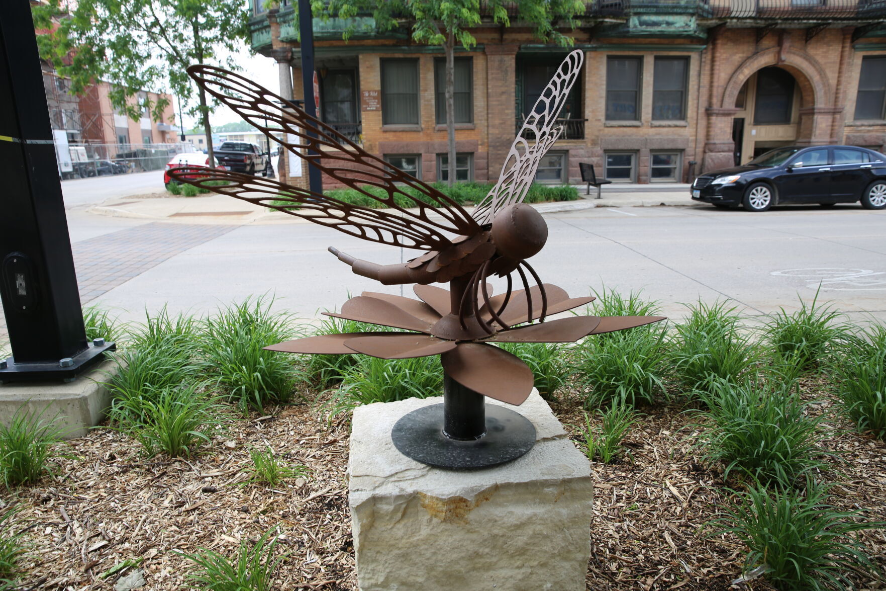 Dragonfly